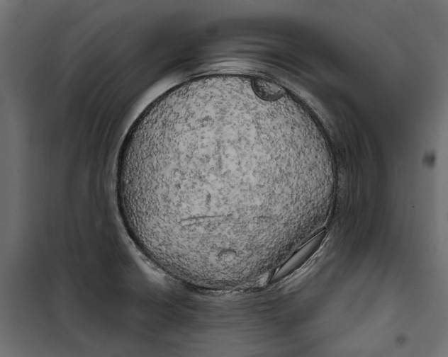X0000099951426200806201302