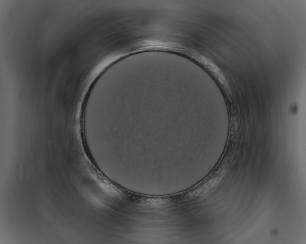X0000099951427200806201302
