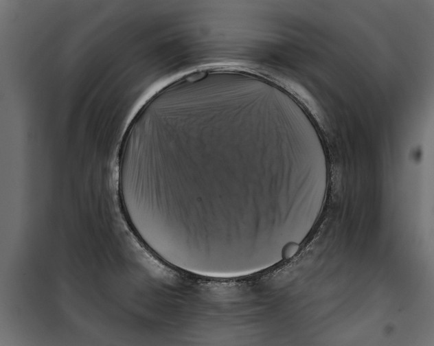 X0000099951428200806201302