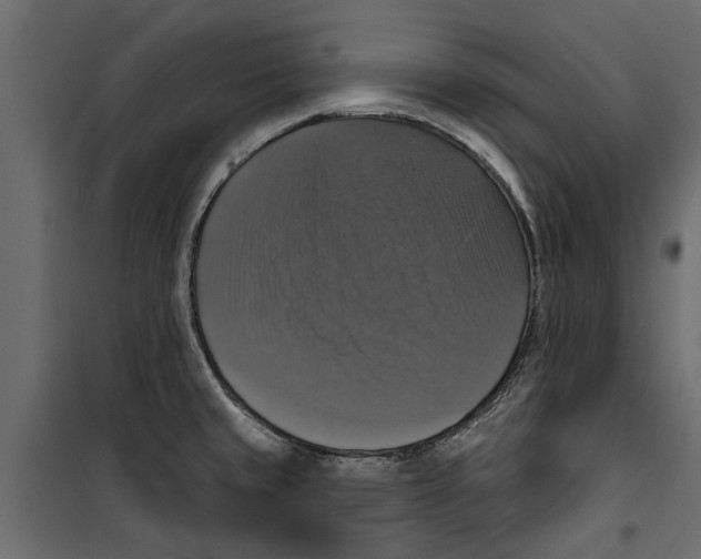 X0000099951429200806201302