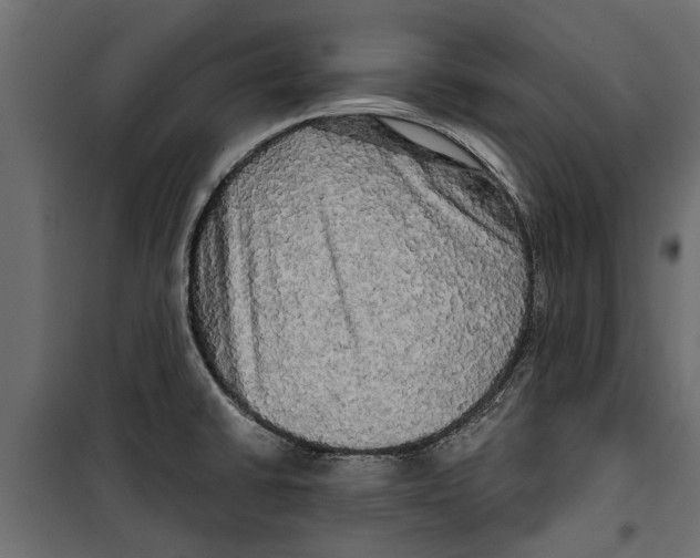 X0000099951430200806201302