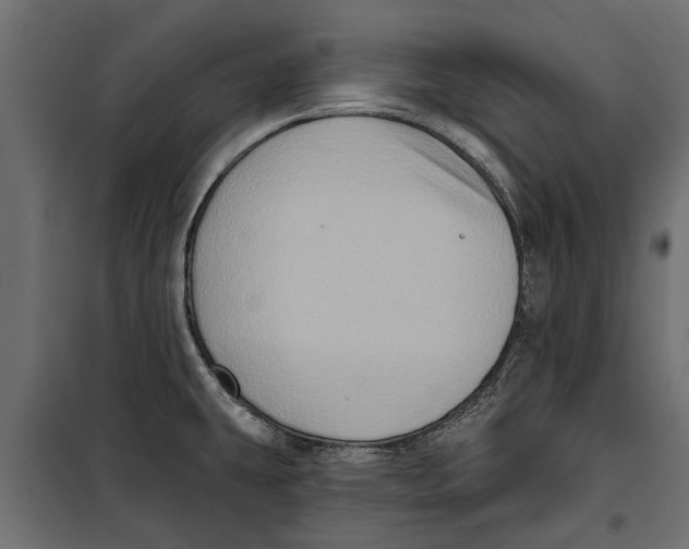X0000099951431200806201302