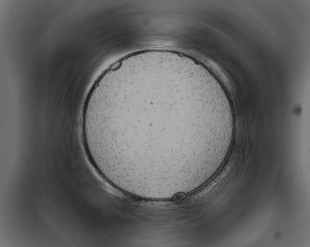 X0000099951432200806201302