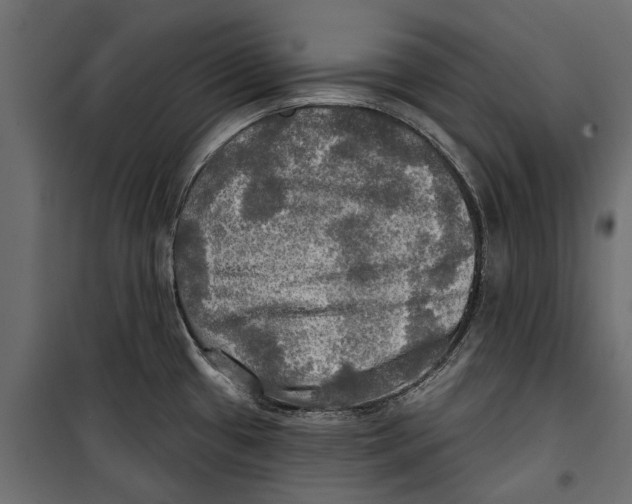 X0000099951433200806201302