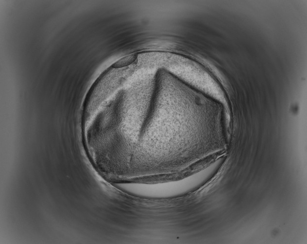 X0000099951434200806201302