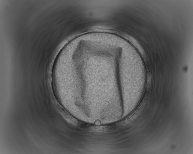 X0000099951435200806201302