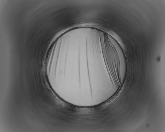 X0000099951436200806201302