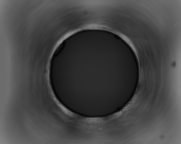 X0000099951437200806201302