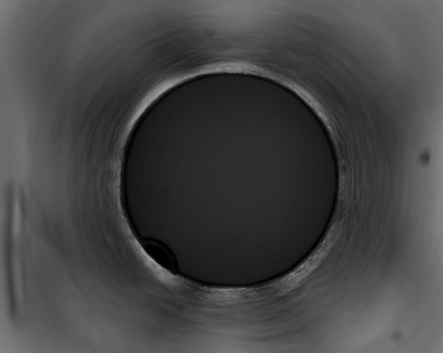 X0000099951438200806201302