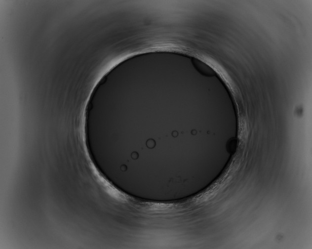 X0000099951439200806201302