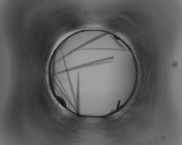 X0000099951440200806201302