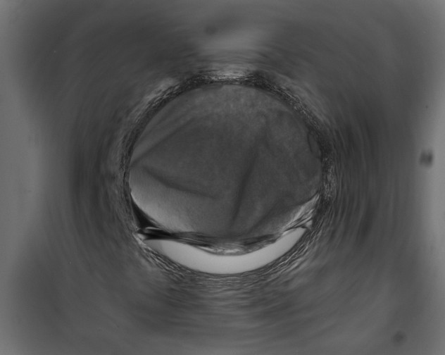 X0000099951441200806201302