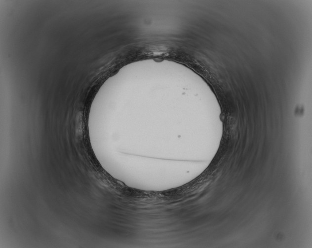 X0000099951442200806201302