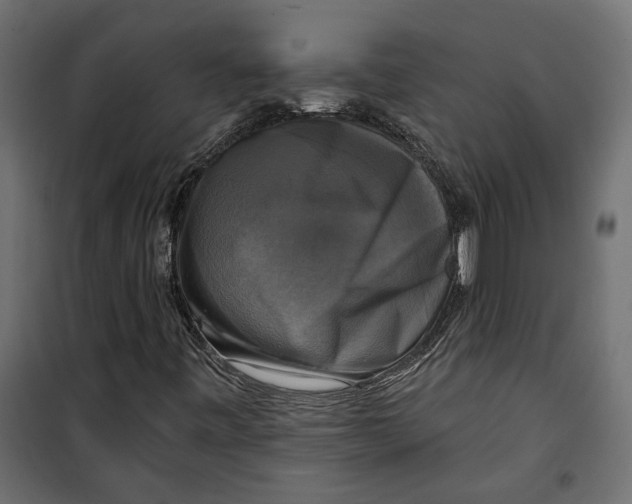 X0000099951443200806201302