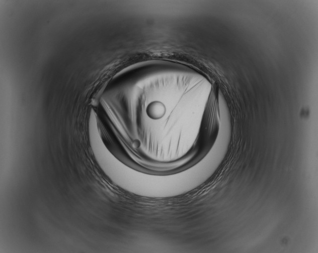 X0000099951444200806201302