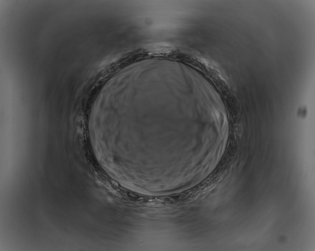 X0000099951445200806201302