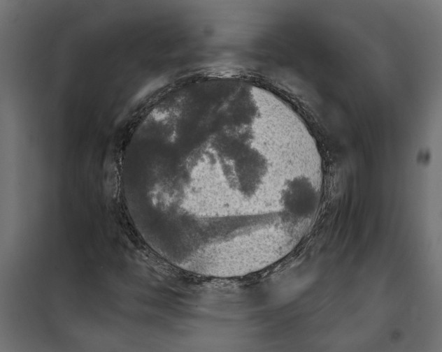 X0000099951446200806201302