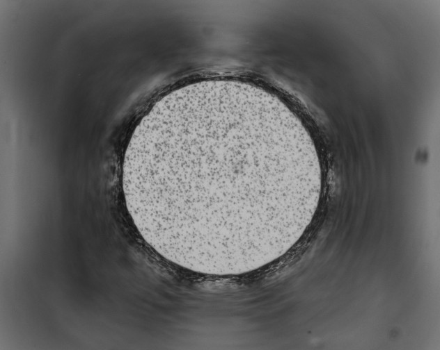 X0000099951447200806201302