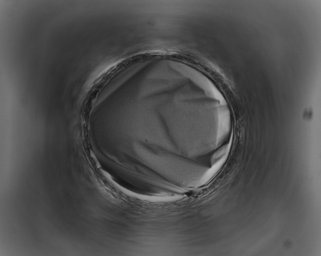 X0000099951448200806201302