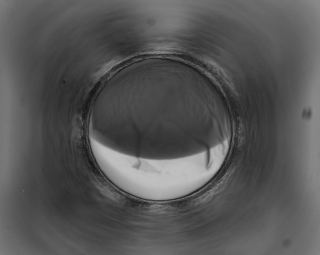 X0000099951449200806201302