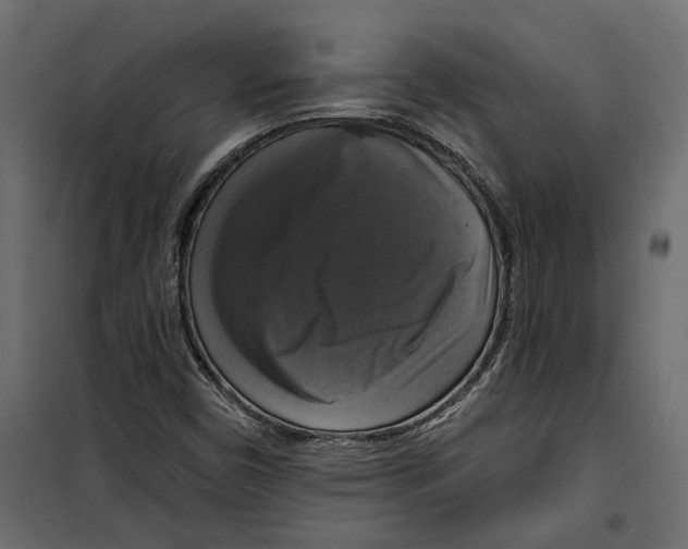 X0000099951450200806201302