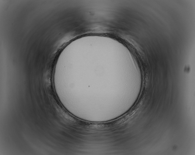 X0000099951451200806201302
