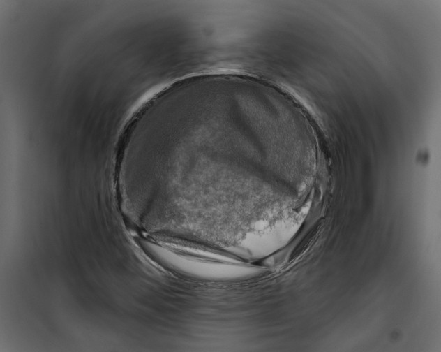 X0000099951452200806201301