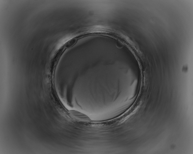 X0000099951453200806201301