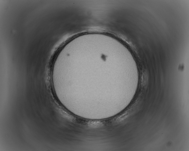 X0000099951454200806201301