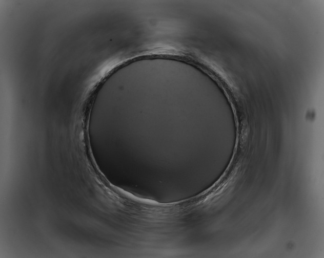 X0000099951455200806201301