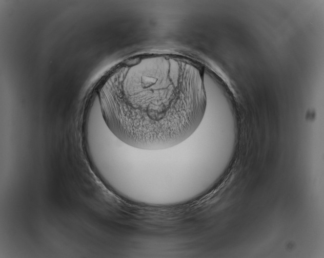 X0000099951456200806201301