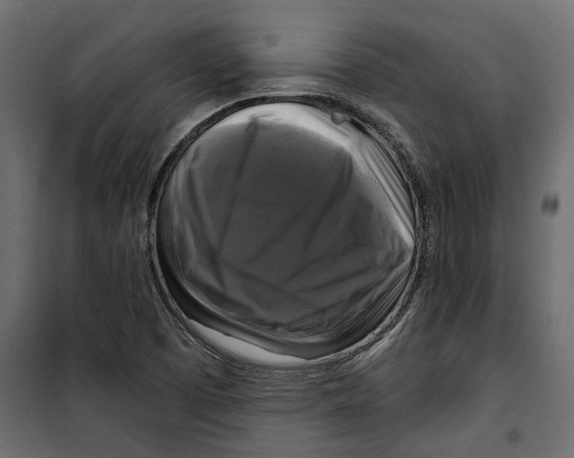 X0000099951457200806201301