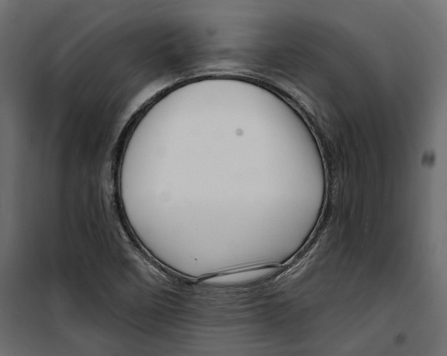 X0000099951458200806201301