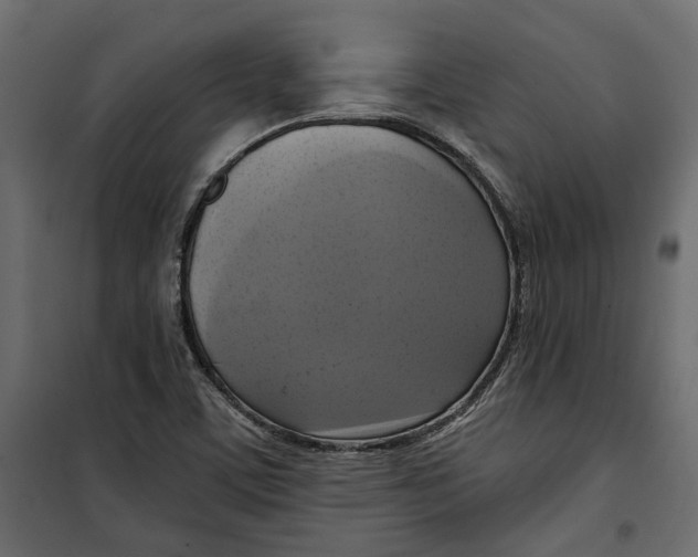 X0000099951459200806201301