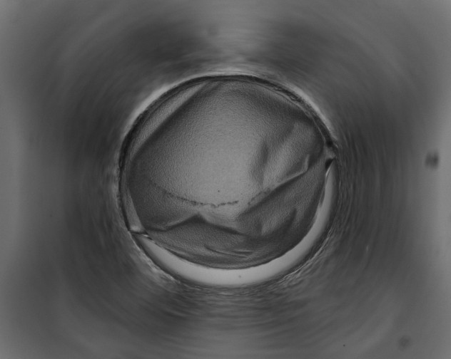 X0000099951460200806201301