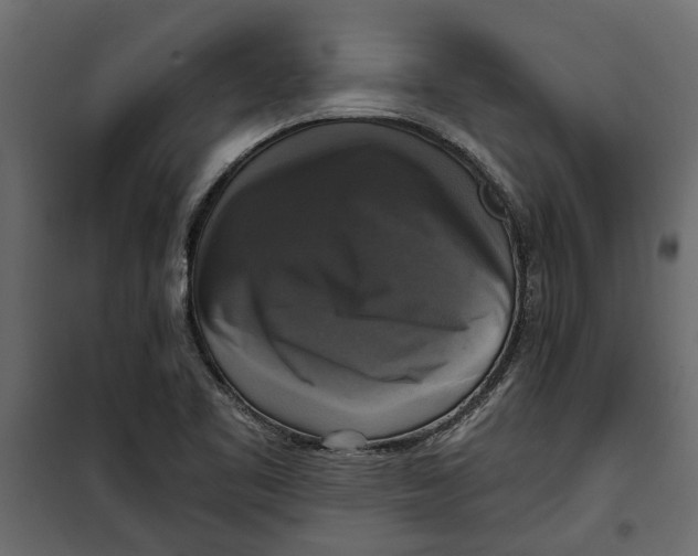 X0000099951461200806201301