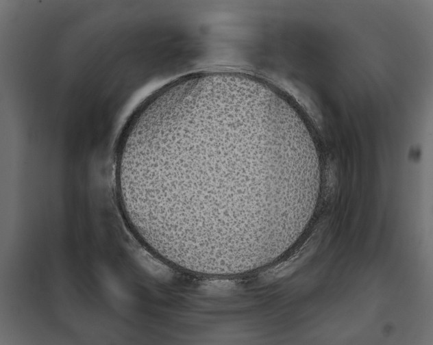 X0000099951462200806201301