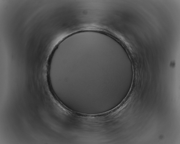 X0000099951463200806201301