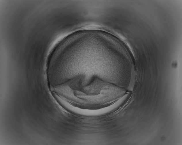 X0000099951464200806201301