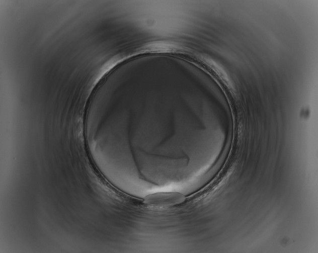 X0000099951465200806201301