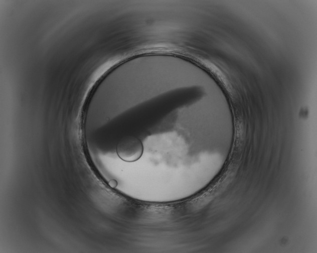 X0000099951466200806201301