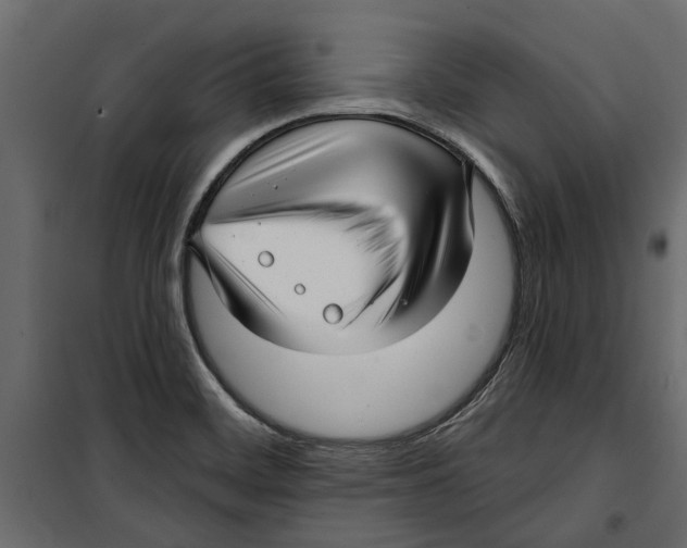 X0000099951468200806201301