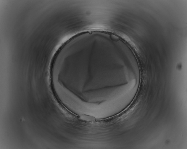 X0000099951469200806201301