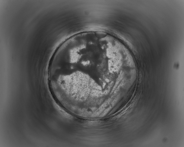 X0000099951471200806201301
