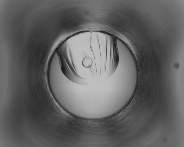 X0000099951472200806201301
