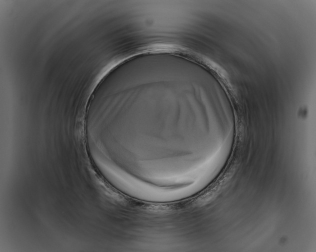 X0000099951473200806201301