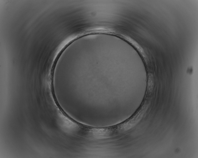 X0000099951474200806201301