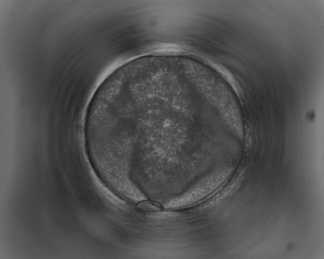 X0000099951475200806201301