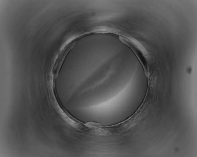 X0000099951476200806201301