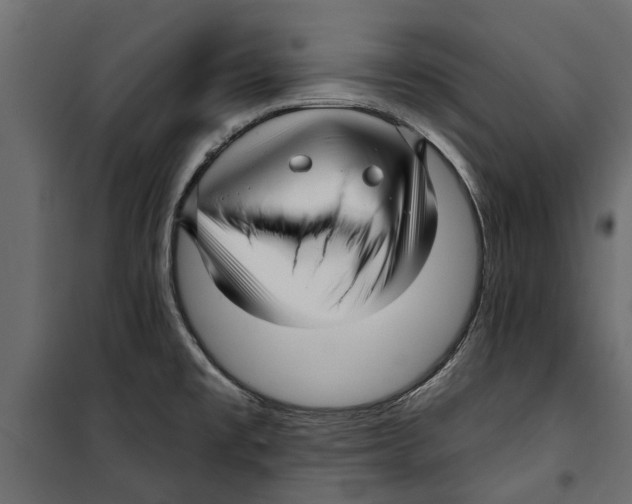 X0000099951477200806201301